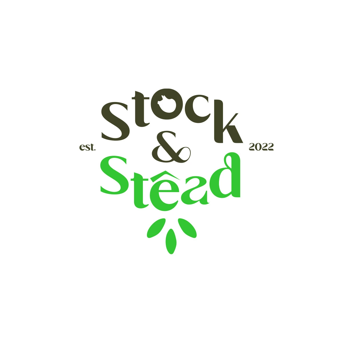 Stock and Stead — case study by GYNIST