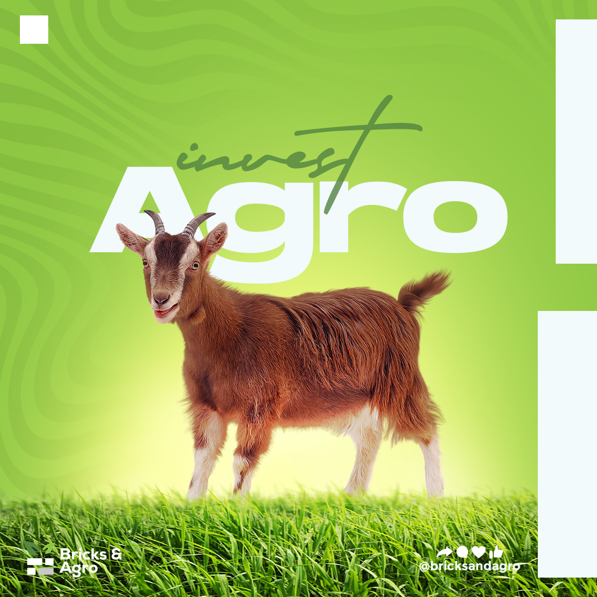 Bricks and Agro — project gallery